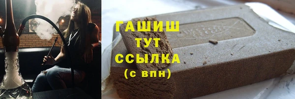 сатива Новозыбков