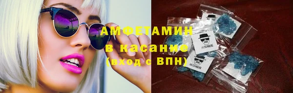 сатива Новозыбков