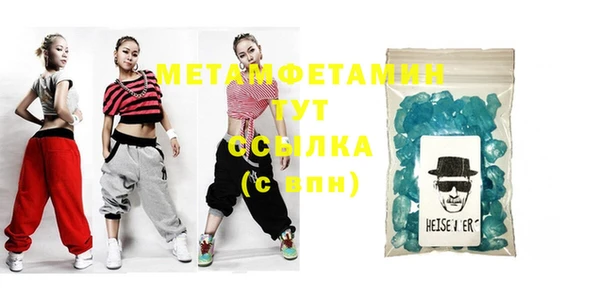 сатива Новозыбков