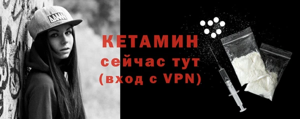 сатива Новозыбков