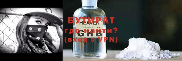 сатива Новозыбков