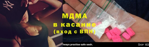 сатива Новозыбков