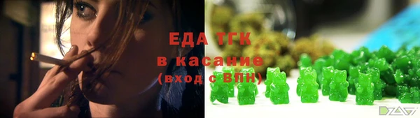 сатива Новозыбков