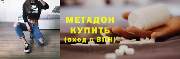 сатива Новозыбков