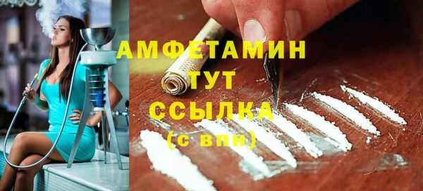 сатива Новозыбков