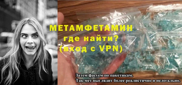 сатива Новозыбков
