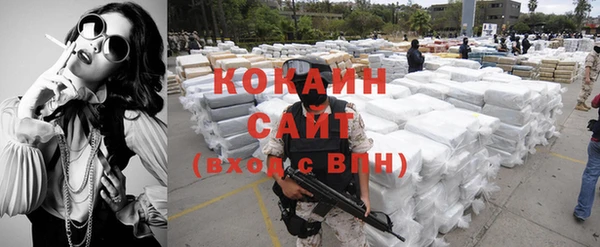 сатива Новозыбков