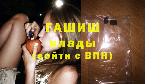 сатива Новозыбков