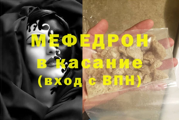 сатива Новозыбков