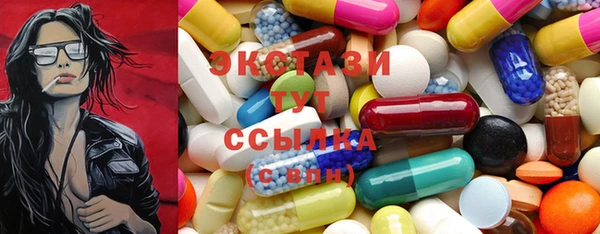 сатива Новозыбков