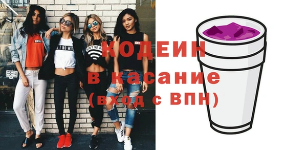 сатива Новозыбков