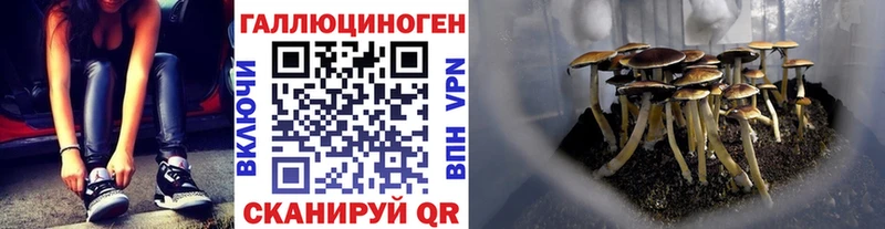 Псилоцибиновые грибы Psilocybe  darknet Telegram  Спасск-Дальний  где найти  
